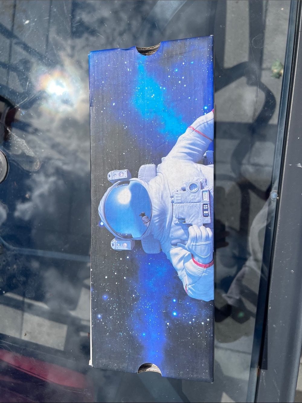Slippers NASA